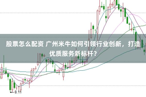 股票怎么配资 广州米牛如何引领行业创新，打造优质服务新标杆？