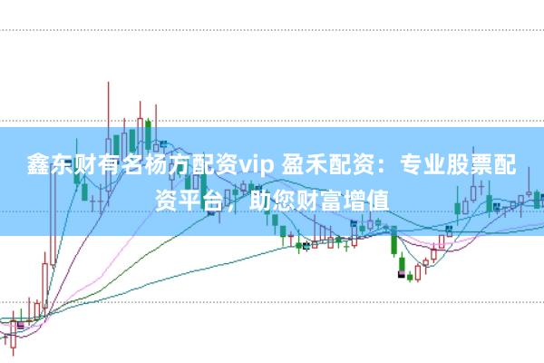 鑫东财有名杨方配资vip 盈禾配资：专业股票配资平台，助您财富增值