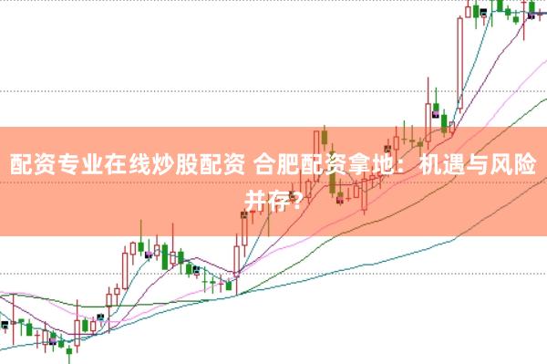 配资专业在线炒股配资 合肥配资拿地：机遇与风险并存？