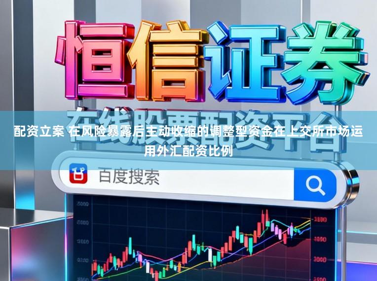 配资立案 在风险暴露后主动收缩的调整型资金在上交所市场运用外汇配资比例